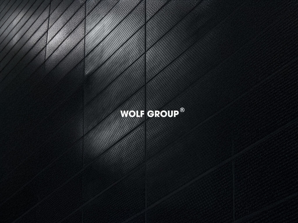 WOLF GROUP Business Branding & Marketing project