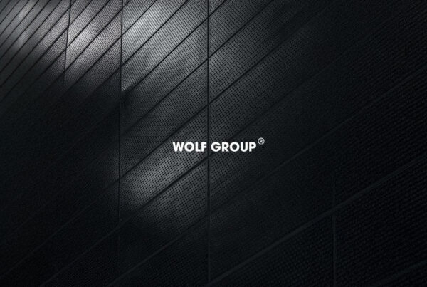 WOLF GROUP Business Branding & Marketing project
