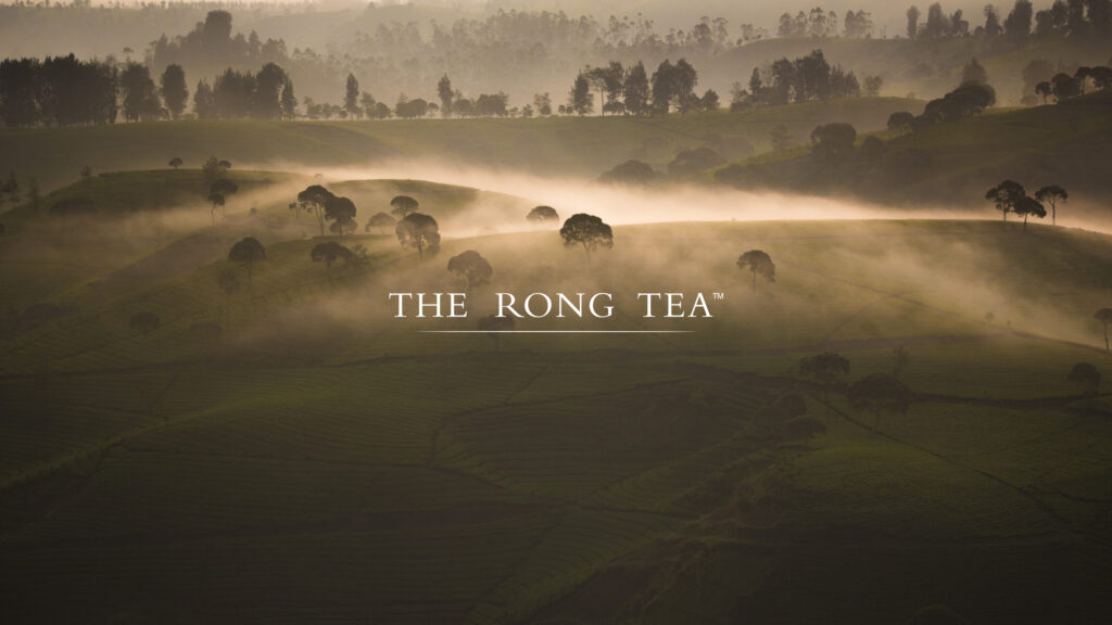 THE RONG TEA Business Branding & Marketing project