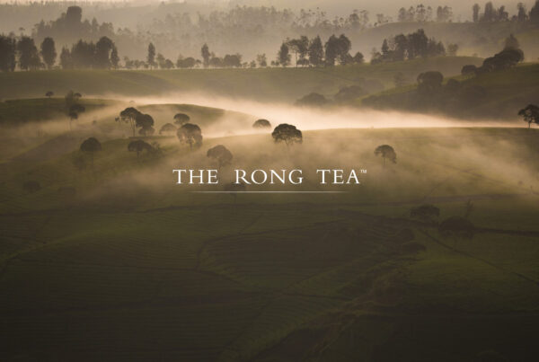 THE RONG TEA Business Branding & Marketing project