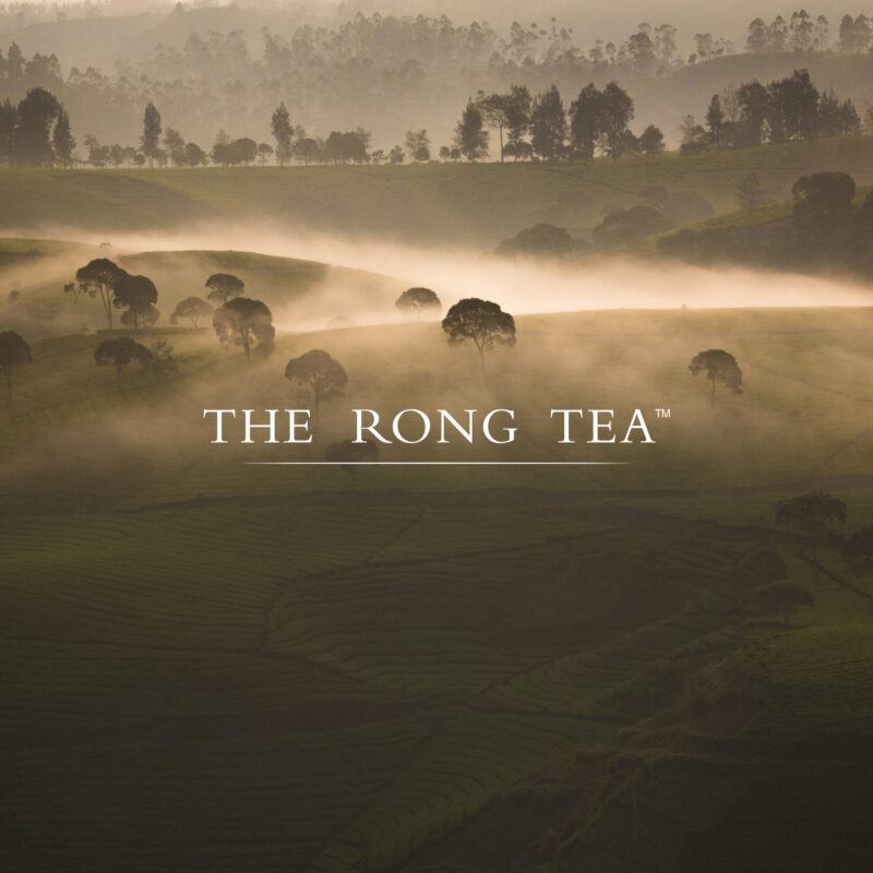 THE RONG TEA Business Branding & Marketing project