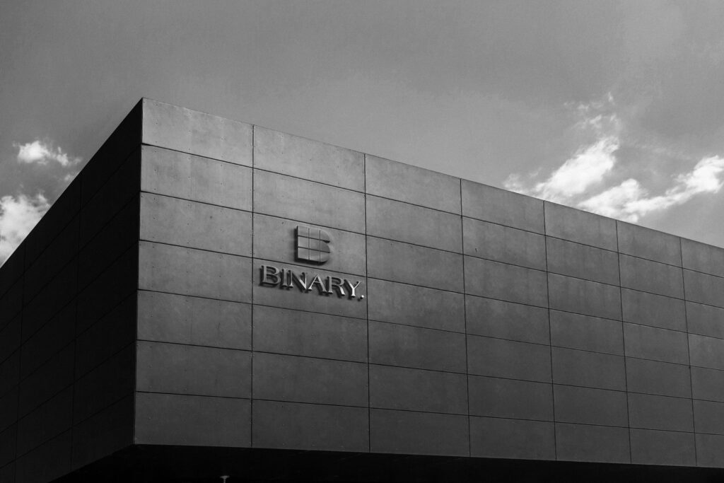 Binary Group Business Branding & Marketing project